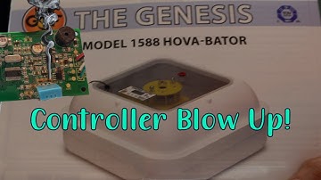 GQF Replacement Controller | Hova-bator Genesis 1588