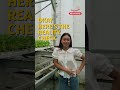 What are Singapore’s HDB rooftop farms really doing for food security?