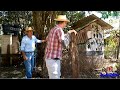 Tio e Sobrinho - Piadas de Animais e Bichos