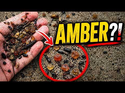 I Pulled This From the Sea… Then I Started Seeing AMBER Everywhere!