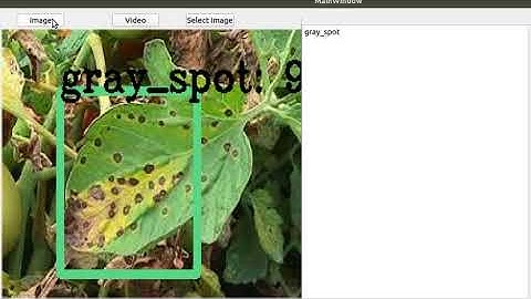 Plant diseases detection based on CNN