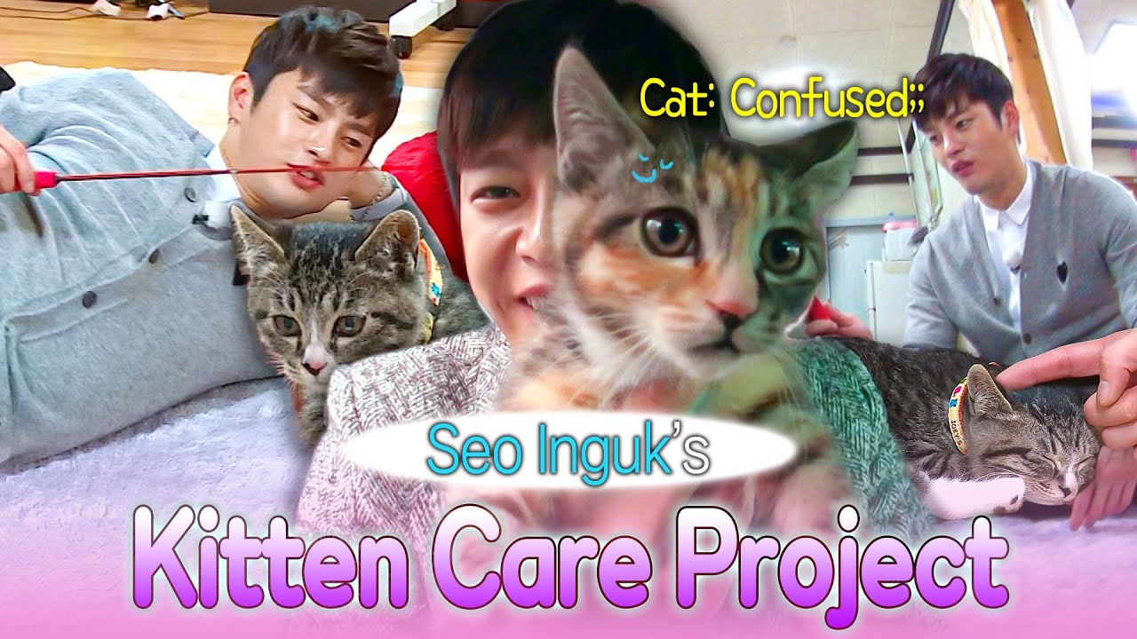 When Confused Kittens Meet Caring Seo Inguk  ソイングク 😻😻😻