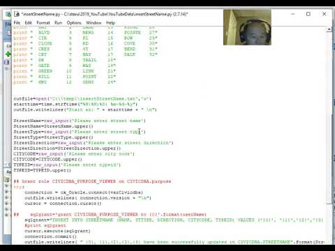 Insert into Oracle table by Python script