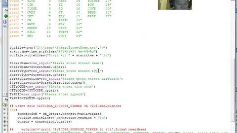 Insert into Oracle table by Python script