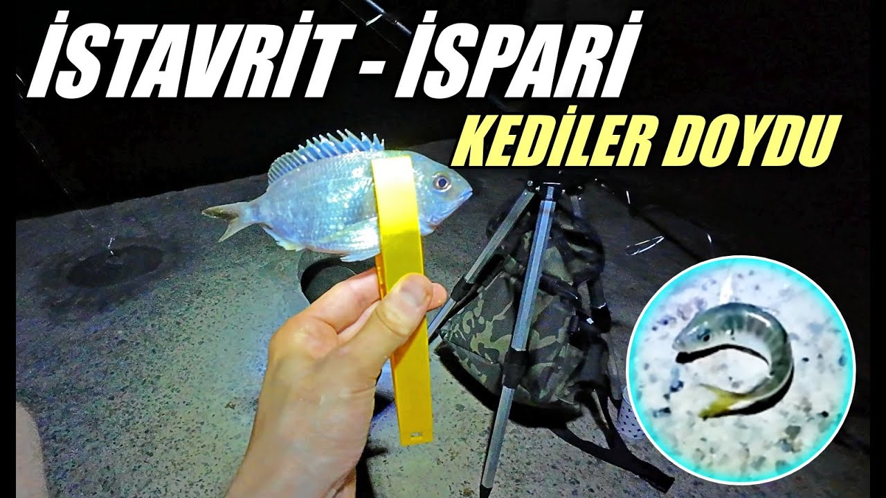 İstanbul Balık Avı | İstavrit - İspari - Sakin Ama Keyifli Gece