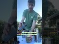 The Secret Starts in The Garden - Mojito