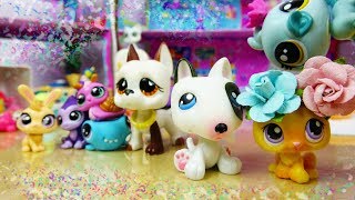❀ LPS: Behind the Scenes (Babysitting Chaos)