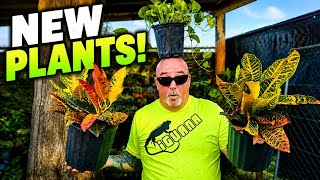 We Bought NEW Plants For Our Aquatics Store! It' Finally Coming Together!
