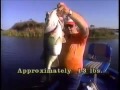 Bill Dance Lands 13 lb Monster Largemouth Bass