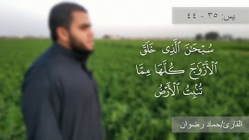 سبحان الذى خلق الأزواج كلها | إبداع القارئ حماد رضوان