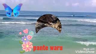 tresnomu dadi kenangan