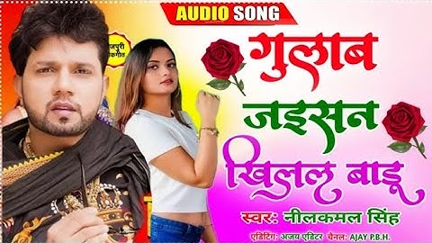 gulab jaisan khilal badu tu bhawra se milal badu | karat dil ka katal bari kekar mehnat ka fal badu