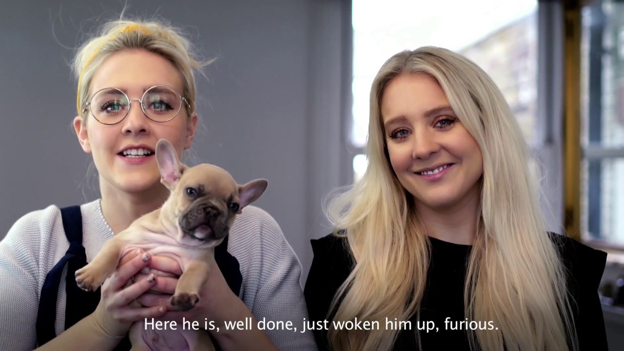 Probiotics Myth #1: The Strain Myth