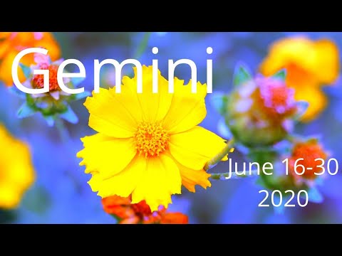 Gemini, What A Gift! -- Psychic Empath Tarot Reading - 동영상
