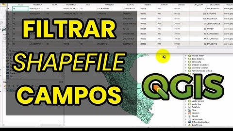 Filtrar (campos/atributos) Base de Datos - Shapefile QGis y separar