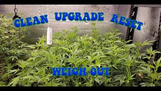 clean and weigh