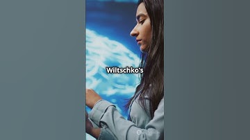 Decoding Odors: How Artificial Intelligence is Learning to Smell