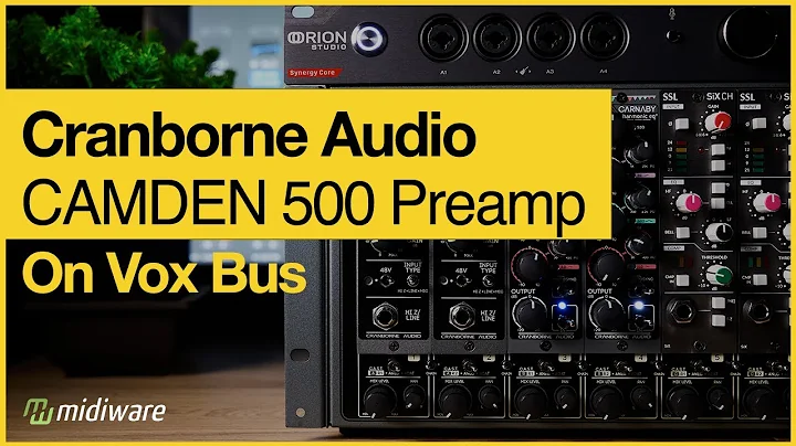 Cranborne Audio Camden 500 on Vox Bus |Sound Demo|  @cranborneaudio   @MidiWareVideo