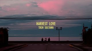 Video thumbnail of "Harvest love - Tash Sultana || Lyrics"