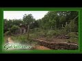 Terraced Vegetable Garden | Volunteer Gardener Terraced Vegetable Garden | Volunteer Gardener