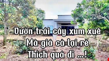 Không kham nổi đành bán 1 Hecta vườn trái cây tại châu Đức tỉnh bà rịa Vũng Tàu giá rẻ