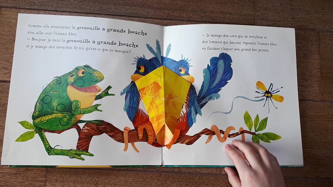 Images Séquentielles La Grenouille à Grande Bouche