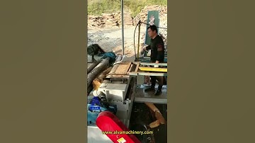 ALVA log debarker machine----