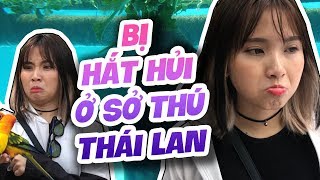Nabee bị bơ khi lần đầu đi sở thú ở Thái Lan