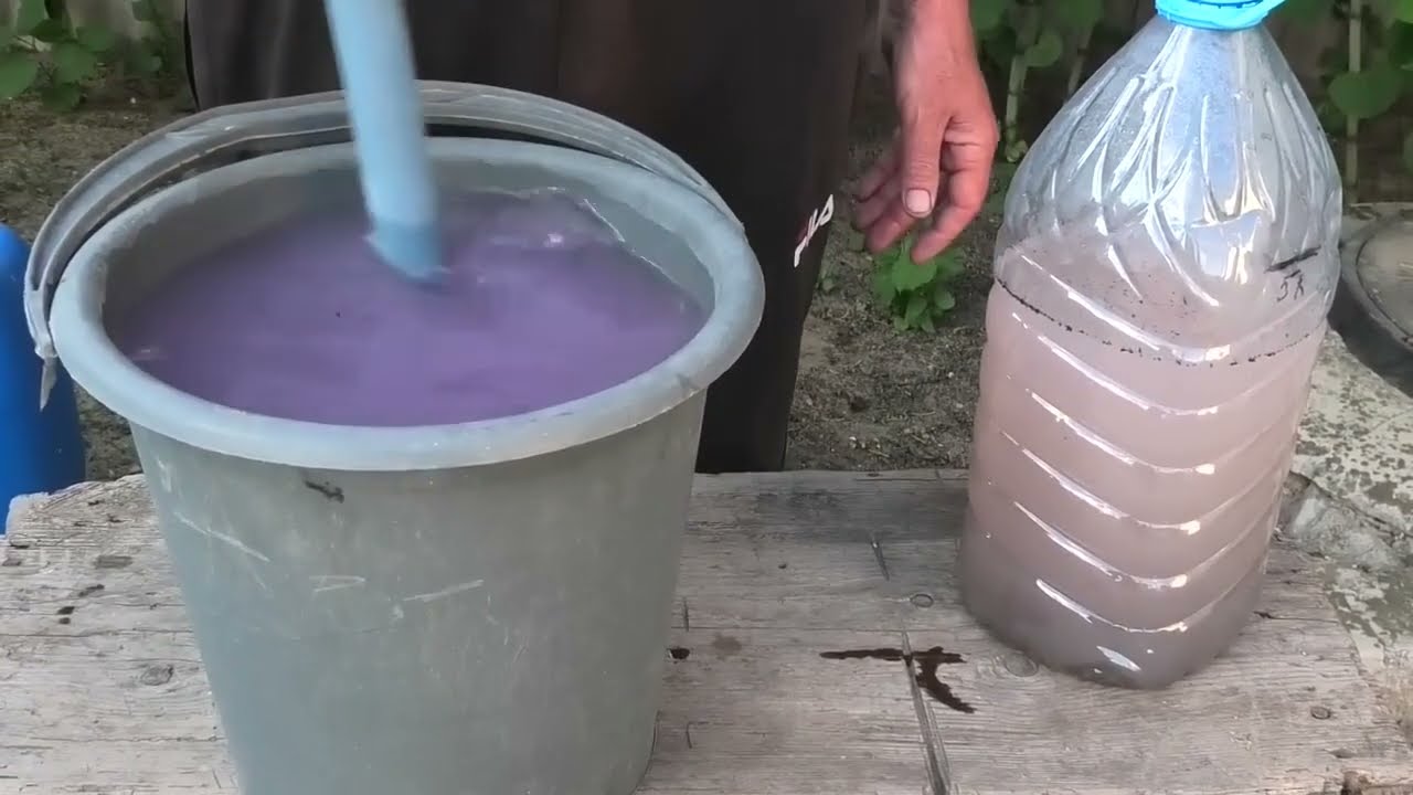 Суперудобрение из золы для ягодных и овощных культур.