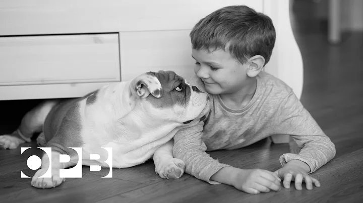 'Hacking Your Mind': How is this dog smarter than this boy?