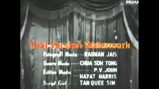 gendang serunai musang berjanggut
