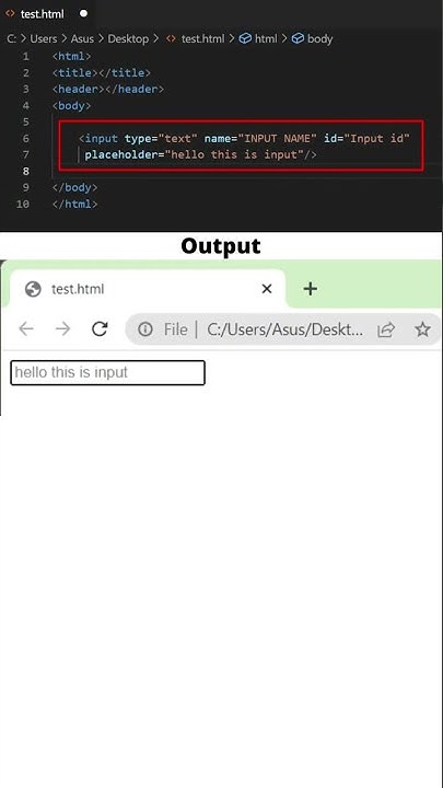 Create input field in html with placeholder. - YouTube