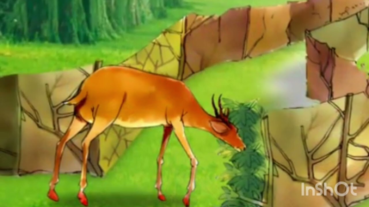 Mo lwj quav txoj  kes noj(dab neeg kev qhuab qhia)