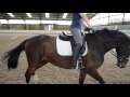 Dressage lesson with pammy hutton
