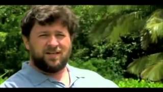 Moringa Oleifera - The Miracle Tree I Discovery Channel documentary