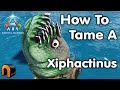 ARK How To Tame A Xiphactinus - With Good Trap!