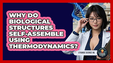 Why Do Biological Structures Self-assemble Using Thermodynamics? - Strange Science HQ