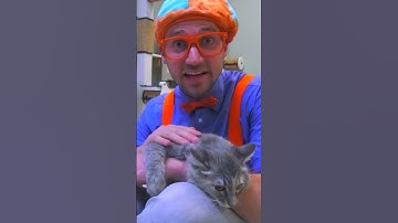 Blippi