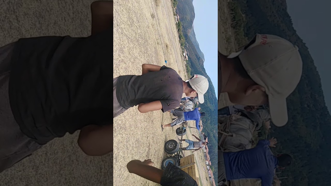 Конете от село Христо Даново