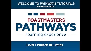 D. Level 1 Projects in Pathways