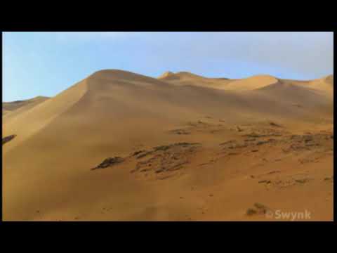 Namib Desert, Living in Sand Ocean