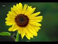 الحمدلله الجليل ل ل طفه 