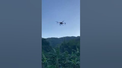 16L sprayer drone in Colombia spraying banana trees