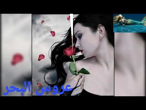 ماقدرش احب اتنين شادية