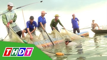 Rộn ràng kéo lưới cá mùa nước nổi | THDT
