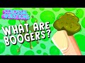 Understanding Boogers