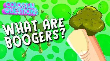 What Are Boogers? | COLOSSAL QUESTIONS