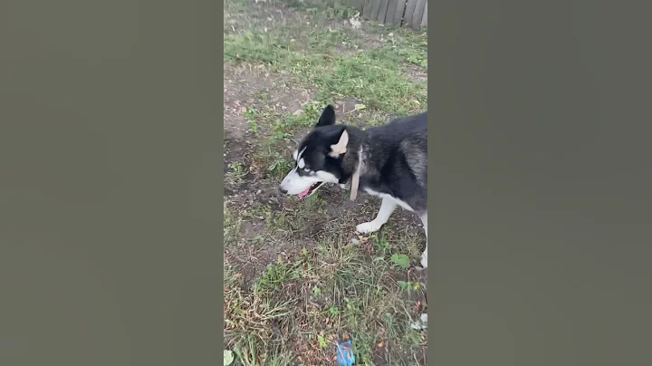 Being sneaky