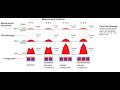 Focusing Magnetic Fields (Halbach vs. Back Iron)