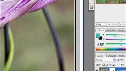 My digital photo post-processing.
